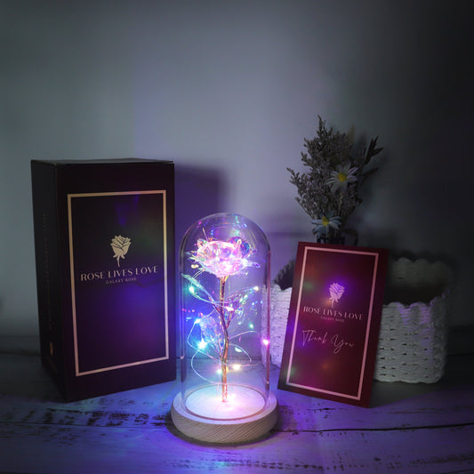 🎁2022 Christmas Gift 50% OFF🎁Enchanted Galaxy Rose